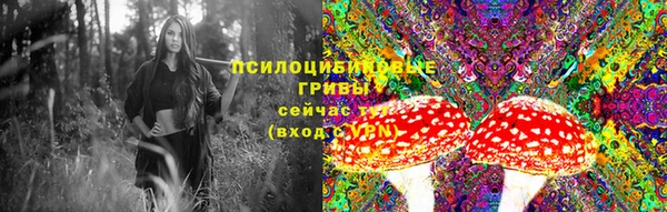 круглые Кукмор