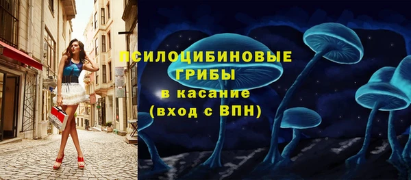 прущая мука Кулебаки