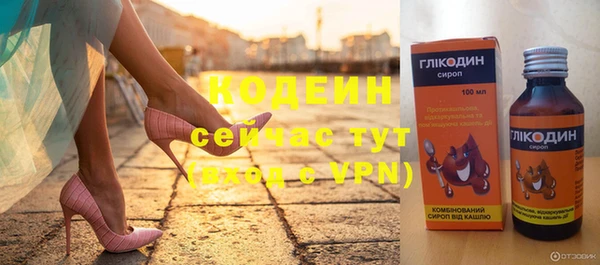 прущие грибы Березники