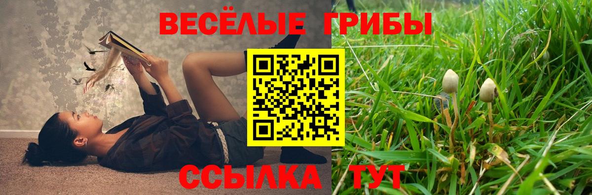 Псилоцибиновые грибы Psilocybine cubensis Кубинка