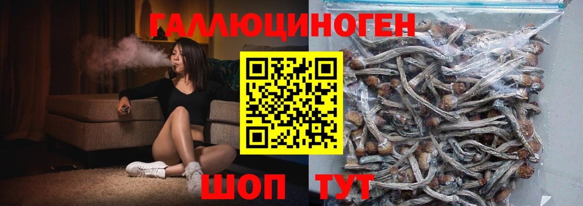 Псилоцибиновые грибы Magic Shrooms  Галлюциногенные грибы GOLDEN TEACHER  Кубинка  Вход с VPN 